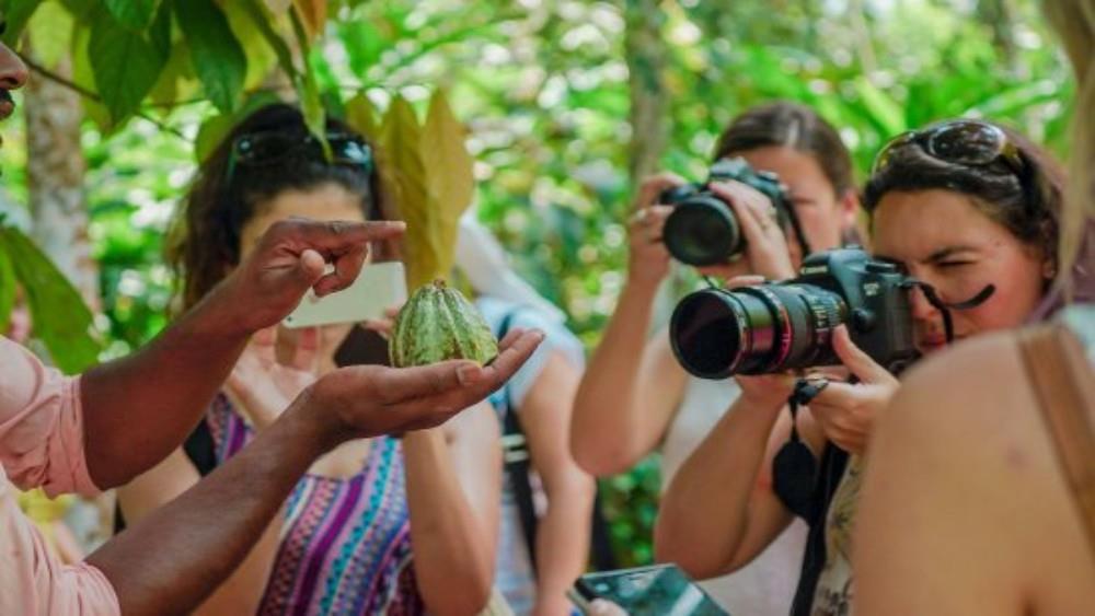 Guide showing a spice fruit to visitors on a Zanzibar spice farm