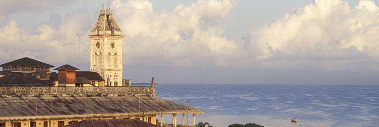Stone Town rooftops and clock tower overlooking the Zanzibar coast