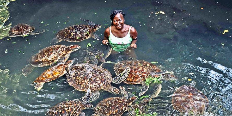 Swimmer surrounded by sea turtles in Nungwi, Zanzibar