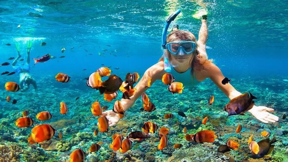 Snorkeller surrounded by tropical fish in clear blue water at Mnemba Island