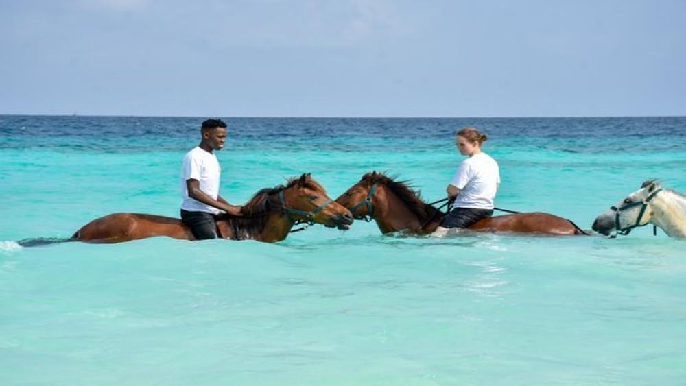 Two riders on horseback in the ocean in Zanzibar