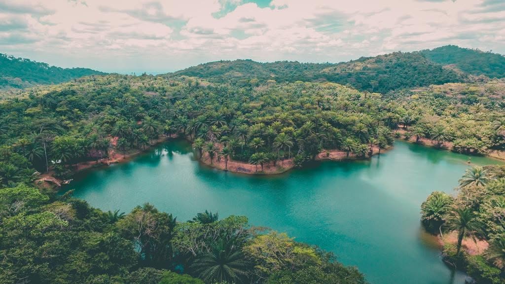 Forest lake at Magoroto Forest Estate in the green hills of Tanga, Tanzania
